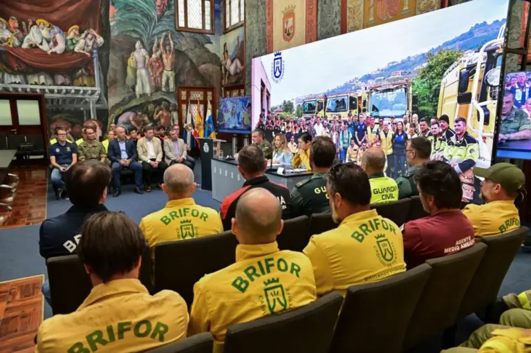 Finaliza con éxito el mayor despliegue de la lucha contra incendios forestales en Tenerife