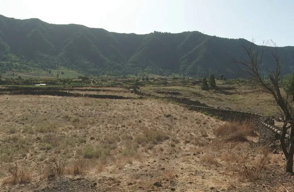 Crece la compraventa de fincas rústicas