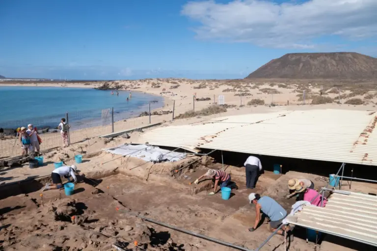 Arranca la décima excavación en el yacimiento Lobos I