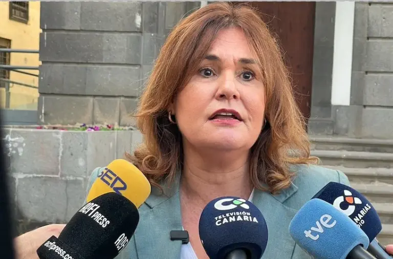 El PP exige un Pleno urgente por el “riesgo para la salud pública” en la limpieza de Las Palmas de Gran Canaria