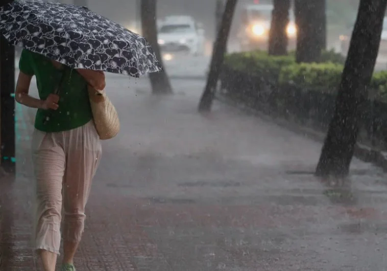 La Universitat de València (UV) ha anunciado igualmente que este lunes queda suspendida la actividad lectiva presencial en su campus