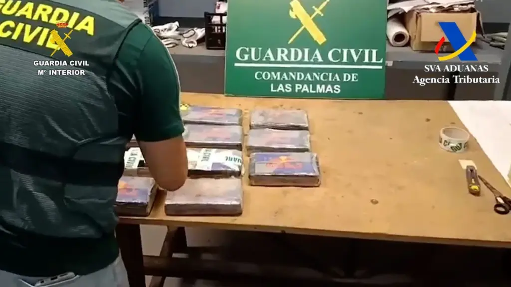 Intervienen 11 kilos de cocaína en un contenedor en el Puerto de La Luz