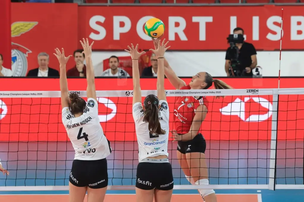 3-0 | El Heidelberg cae ante el Benfica y queda eliminado de la Liga de Campeonas CEV