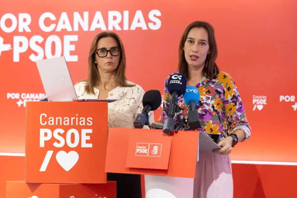 PSOE dependencia