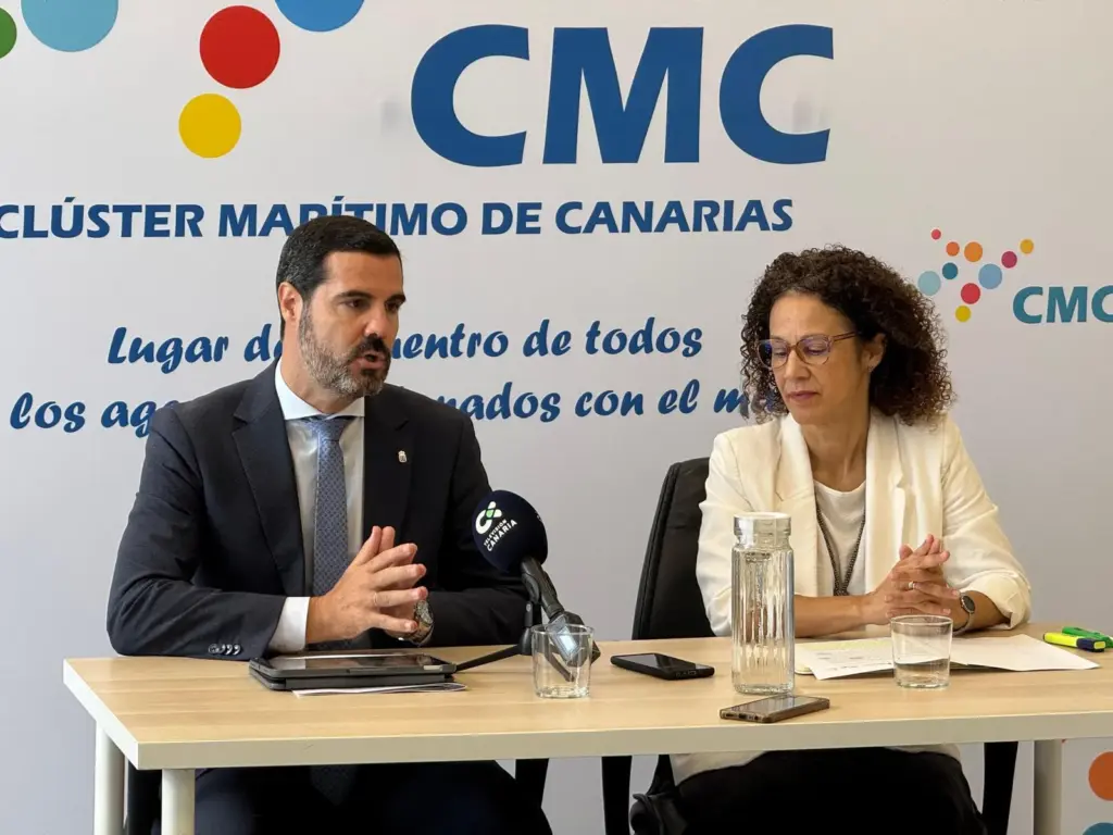 El viceconsejero de Economía del Gobierno de Canarias insta al ministerio de Transición Ecológica la aprobación de una subasta nacional para avanzar en los proyectos de energía renovable