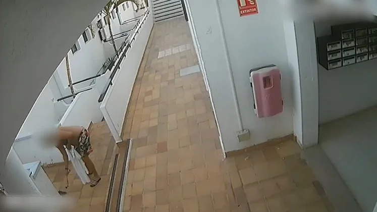 Momento en que el detenido golpea a la gata captado por las cámaras de videovigilancia del complejo