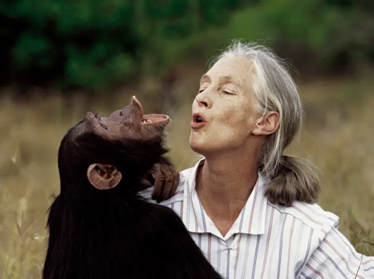 Fallece la etóloga Jane Goodall
