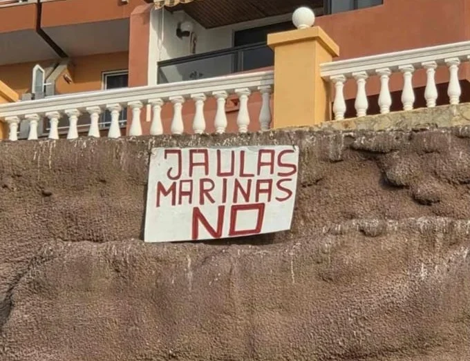 Ecologistas piden alejar las jaulas de lubina del litoral de Telde ante los recurrentes episodios de contaminación marina