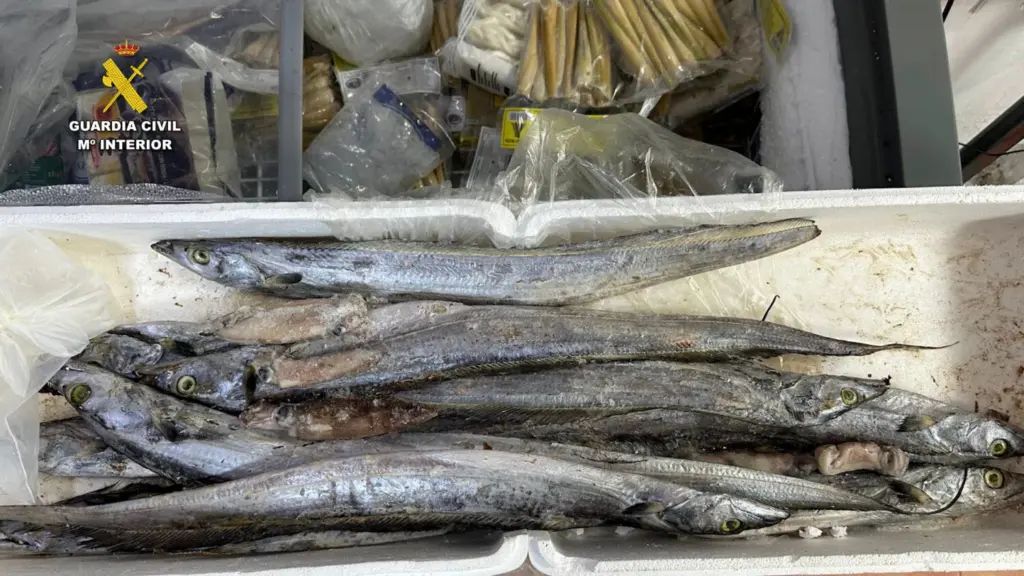 Productos caducados y en mal estado encontrados en un comercio de Las Palmas de Gran Canaria