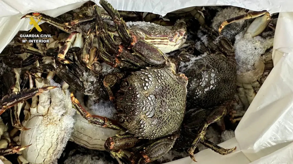 Productos caducados y en mal estado encontrados en un comercio de Las Palmas de Gran Canaria