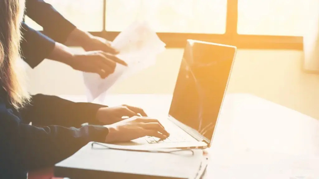 En el año 2000, un grupo de empresarios aunaron compromiso y visión de futuro para dar forma a la Asociación de Empresarios de La Gomera