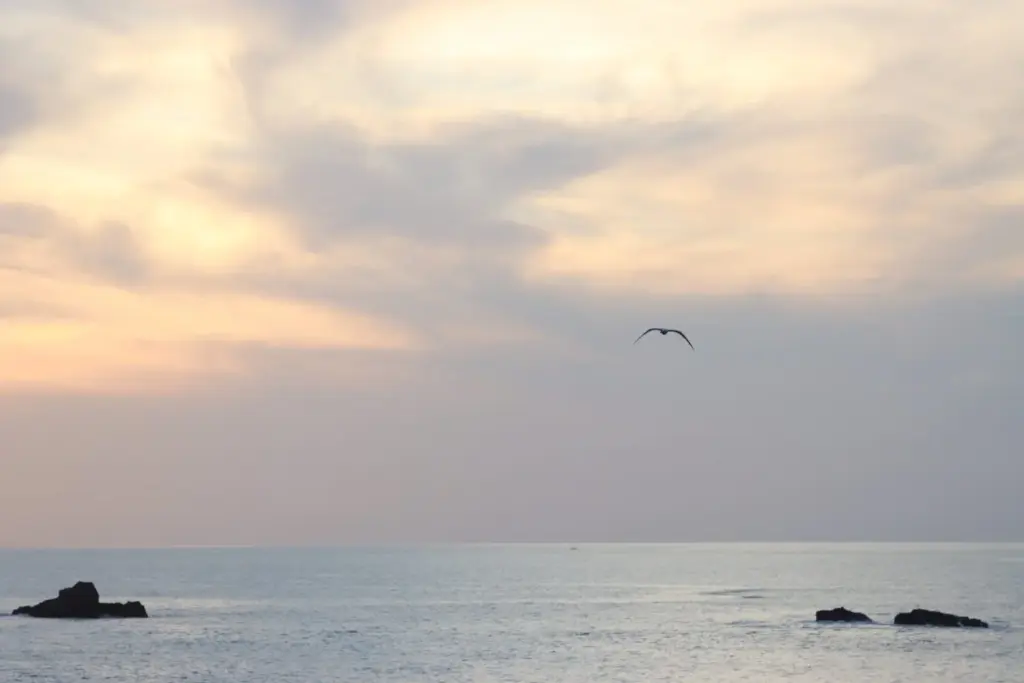 En el norte de La Palma, La Gomera y El Hierro podrá llover en las próximas horas como consecuencia del frente Atlántico que se ha ido desplazando al oeste