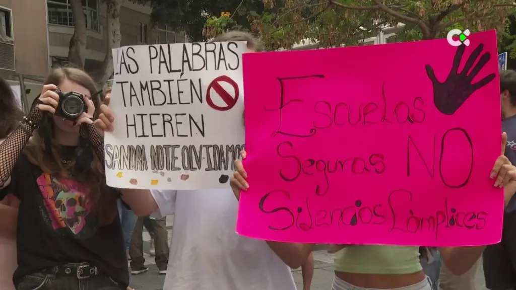 Educación investiga 47 casos de acoso escolar en Canarias. RTVC