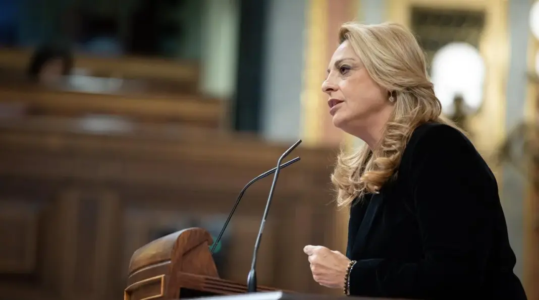 Cristina Valido durante su intervención de hoy en el Congreso