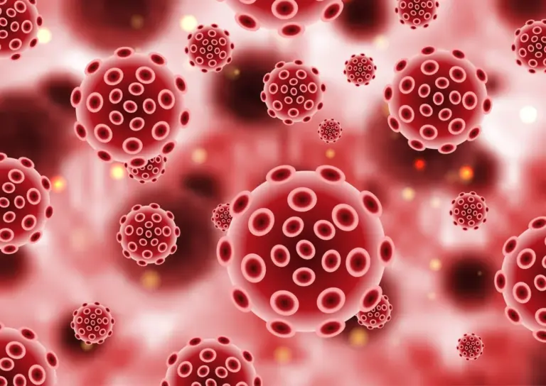 Las enfermedades de la sangre: claves para entender la función de los glóbulos rojos
