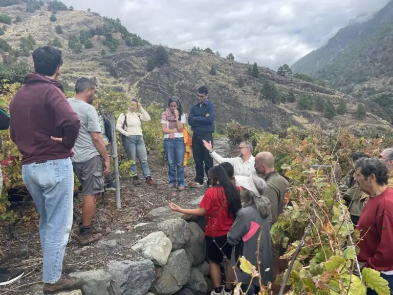 El sector vitivinícola palmero estudia la fragilidad de suelos volcánicos