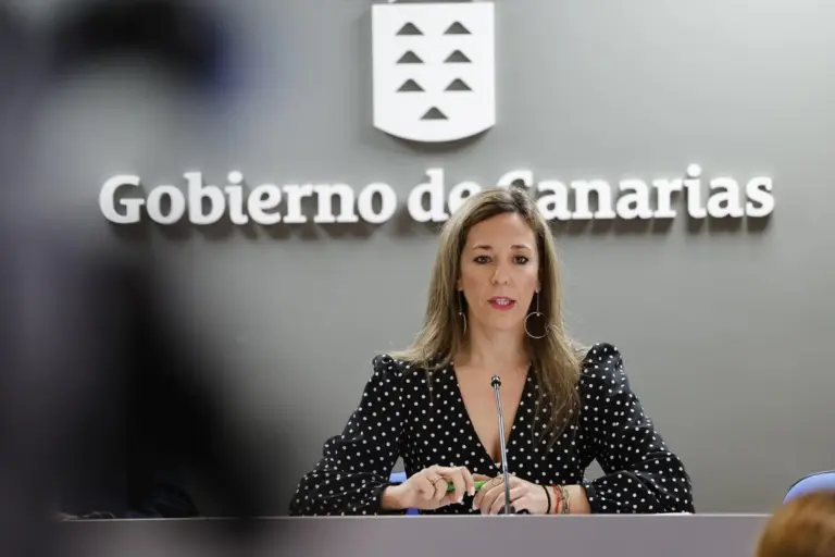 La consejera de Turismo destaca el cambio de enfoque en Canarias: de la «promoción del destino» a su «gestión»