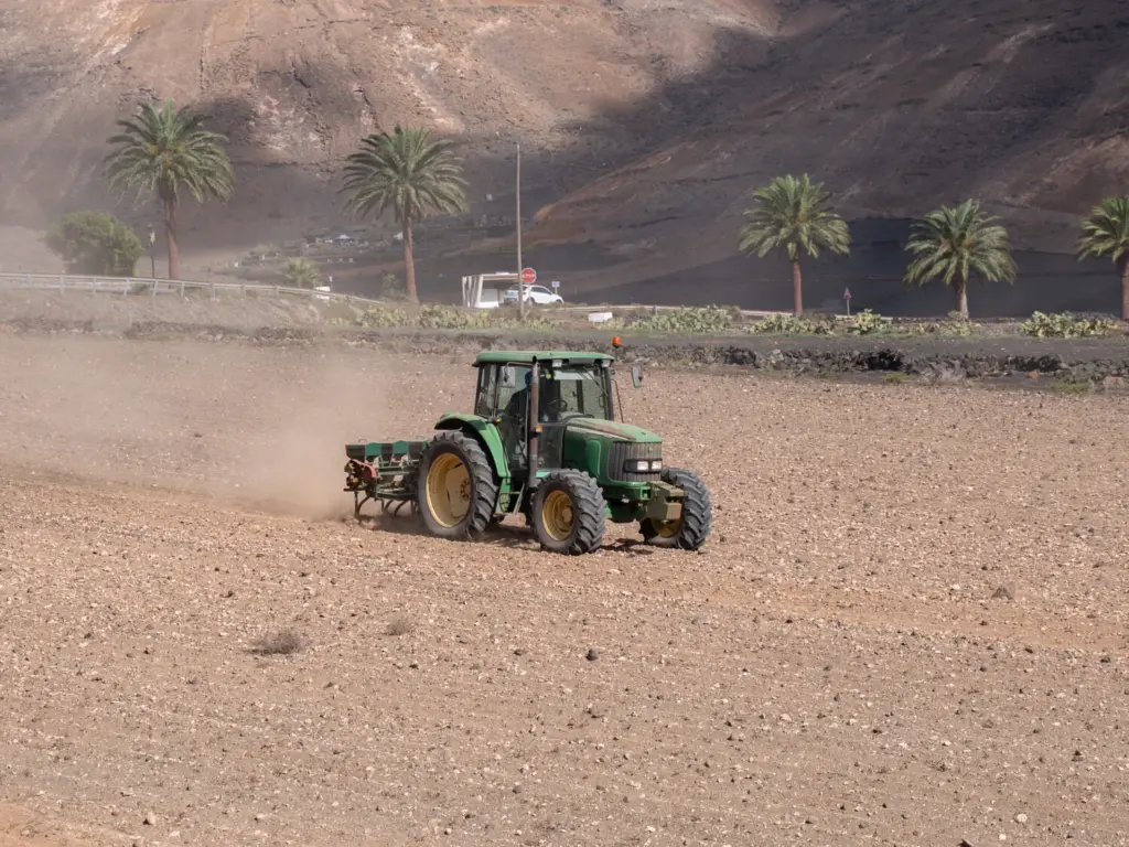 La campaña de siembra se desarrollará en todos los municipios de Lanzarote, en áreas de especial interés cinegético, en coordinación con la Sociedad de Cazadores