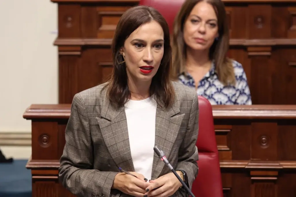 La diputada del PSOE, Nira Fierro, este martes en el Parlamento de Canarias