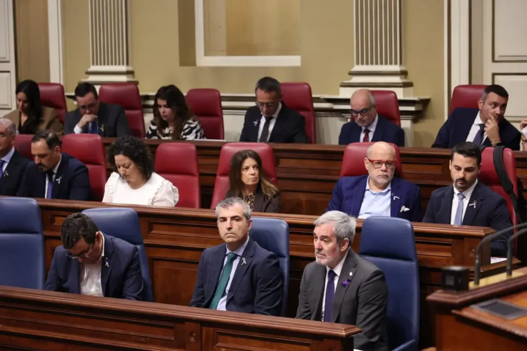 Pleno del Parlamento de Canarias 25 de noviembre de 2025. Imagen Parlamento de Canarias
