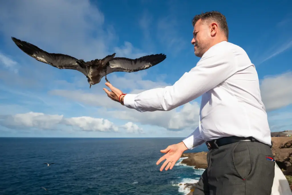 El alcalde de Gáldar, Teodoro Sosa, durante la suelta de pardelas