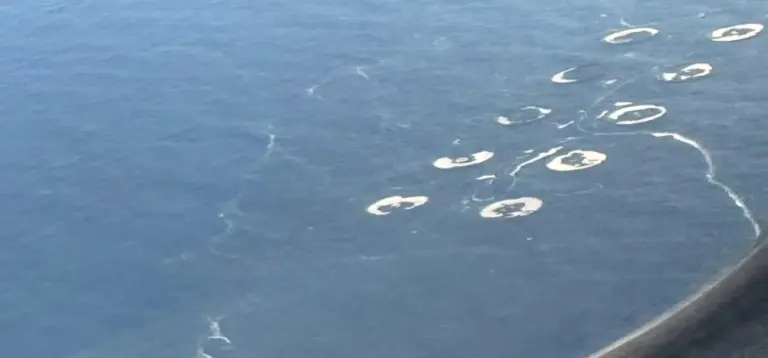 Seis municipios de Gran Canaria en alerta por contaminación marina por vertidos orgánicos