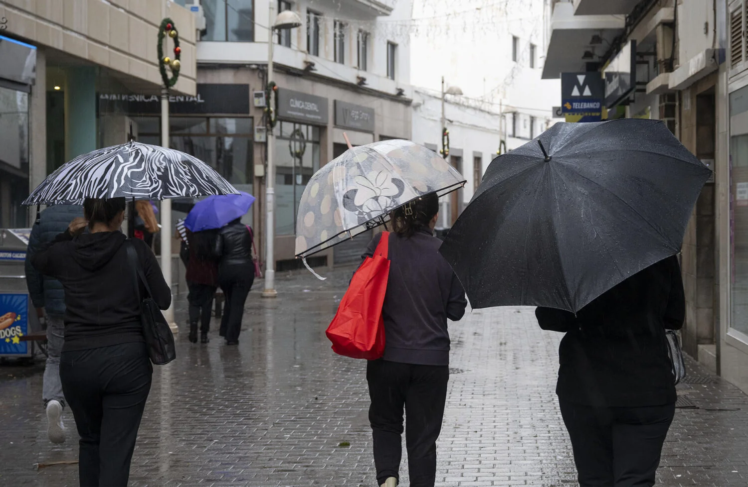 No guarde el paraguas, las lluvias no abandonan Canarias. EFE/Adriel Perdomo