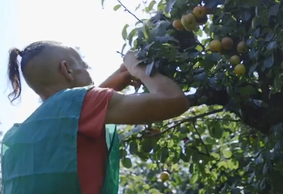 El grupo de agricultores ecológicos 'La Rebusca' aprovecha lo que se desperdicia para ayudar a los comedores sociales 