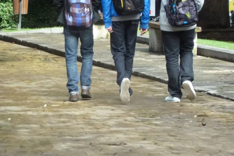 Casi un 18% de los jóvenes apoya el franquismo, según una encuesta del CIS