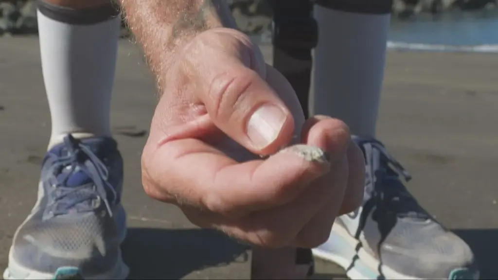 Más de diez playas de Gran Canaria afectadas por el vertido de las piscifactorías de Telde