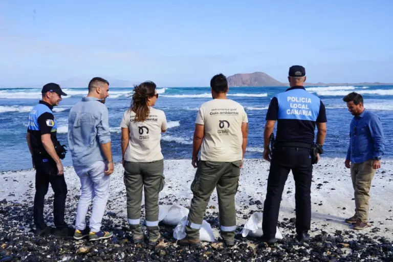 La Oliva recupera rodolitos usados como decoración en chalets