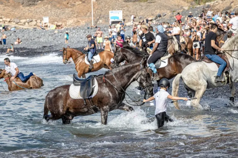 Adeje abre las inscripciones de animales para la Fiesta de San Sebastián 2026