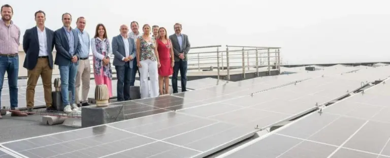 Arinaga contará con un sistema híbrido de placas fotovoltaicas y baterías