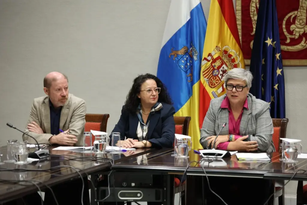 La comisionada de Transparencia anuncia una ley propia al margen de la del Gobierno de Canarias 