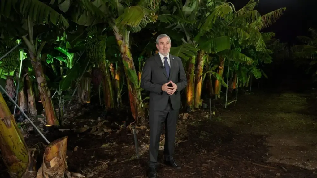 Discurso de fin de año del presidente del Gobierno de Canarias, Fernando Clavijo, que ha Clavijo ha pronunciado desde una finca palmera sorribada sobre la lava.