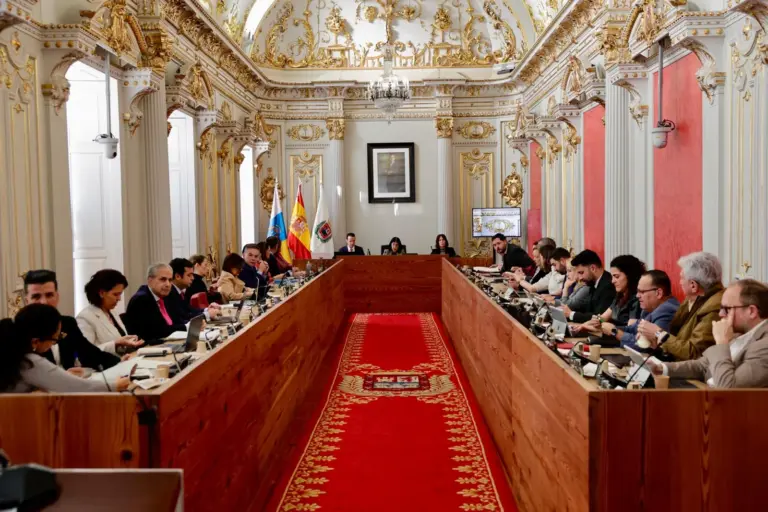 Las Palmas de Gran Canaria defiende el carácter público de la Radio Televisión Canaria