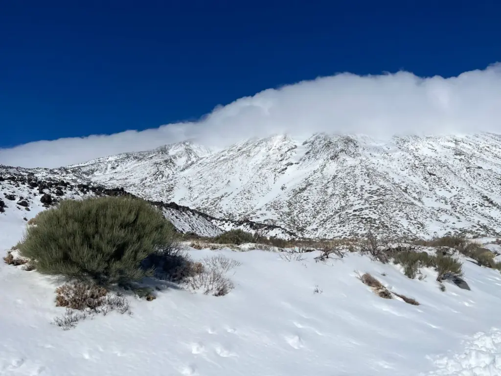 Primeras imágenes que capta un equipo de Televisión Canaria de la nevada en el Teide / RTVC 