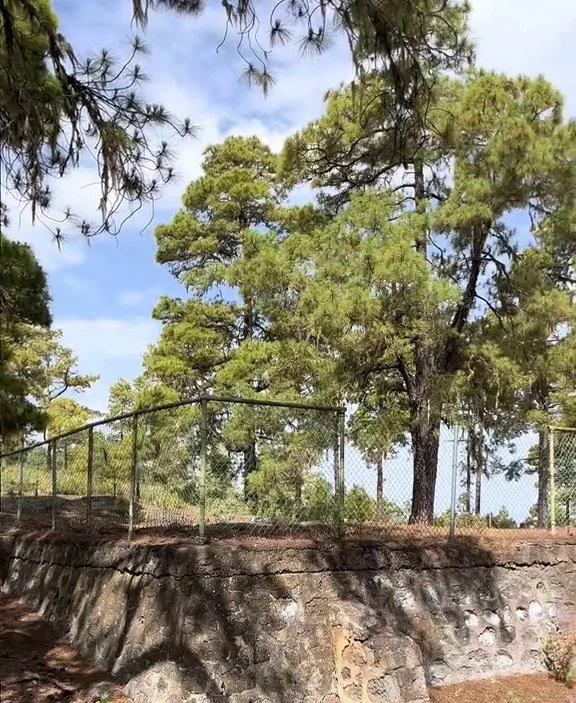 Estanque del albergue de Tamadaba, en el que se ubicará el búnquer