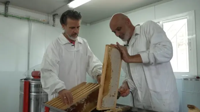 Omar y Oswaldo remontan sus colmenas tras el incendio de 2023 en Tenerife