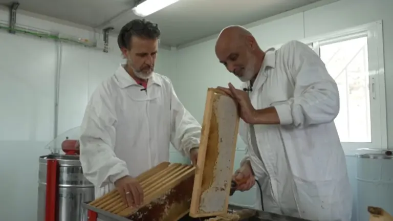 Renacer de las cenizas en ‘Noveleros’