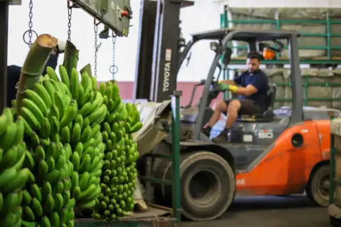 TROPICAN desconfía de que el acuerdo UE-Mercosur se revierta y advierte de nuevas movilizaciones del sector primario