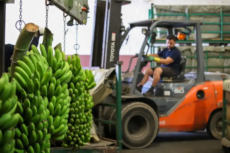 TROPICAN desconfía de que el acuerdo UE-Mercosur se revierta y advierte de nuevas movilizaciones del sector primario
