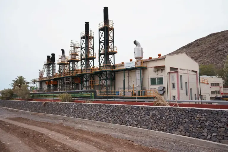 La caída de una palmera sobre una línea de distribución causó el cero energético de enero en La Gomera