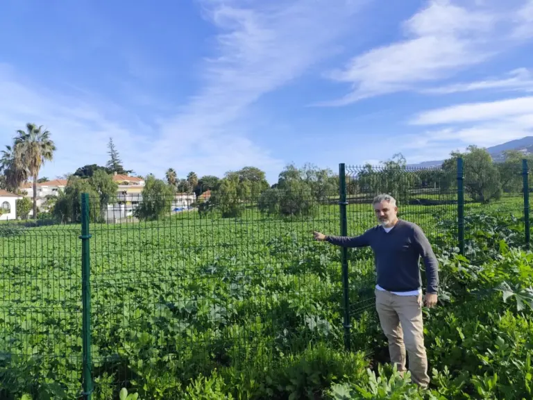 Puerto de la Cruz abre la inscripción para su primer huerto urbano comunitario de 19.000 metros