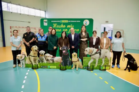 Los perros guía, una ayuda esencial para muchas personas en Canarias