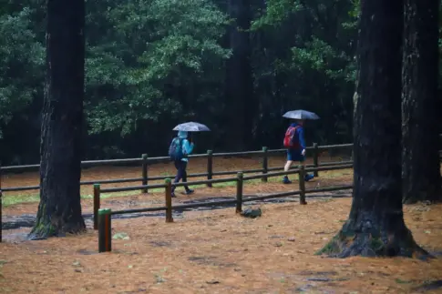 Paraguas en mano el fin de semana, lluvia que estará acompañada de viento