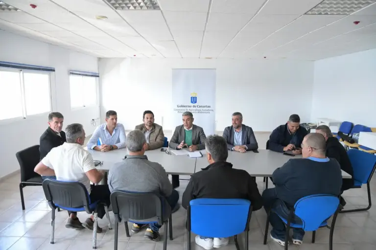 Ayudas de 884.000 euros para mantener la actividad de los atuneros cañeros