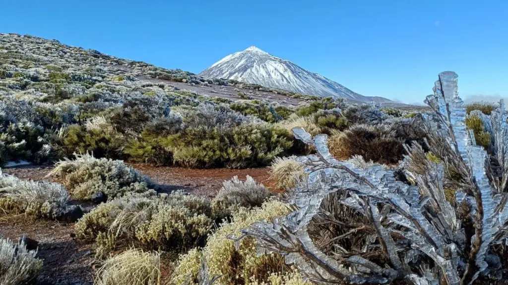 Cencellada en el Teide. Imagen Cabildo de Tenerife