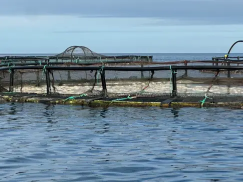 Los colectivos de ecologistas solicitan los informes toxicológicos de la ULPGC sobre las playas de Telde