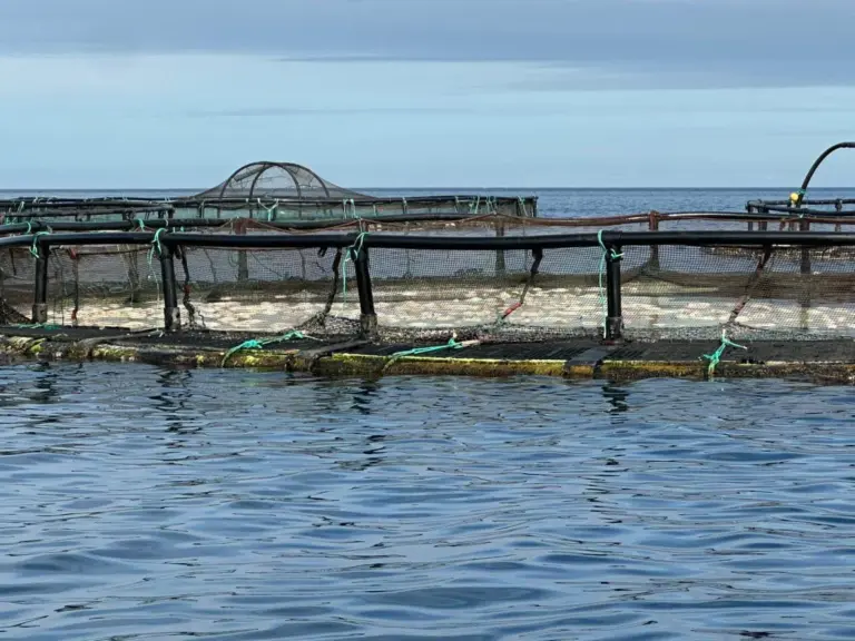 Los colectivos de ecologistas solicitan los informes toxicológicos de la ULPGC sobre las playas de Telde
